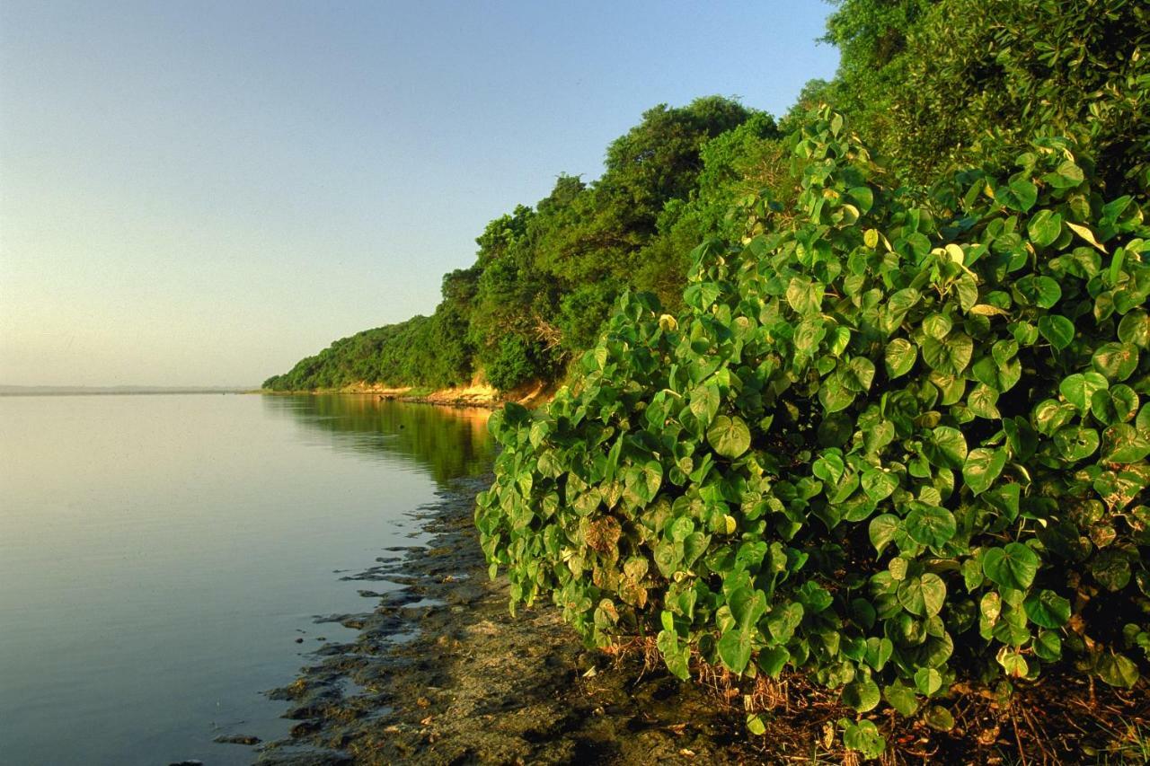דירות Saint Lucia Estuary 4 The Bridge מראה חיצוני תמונה