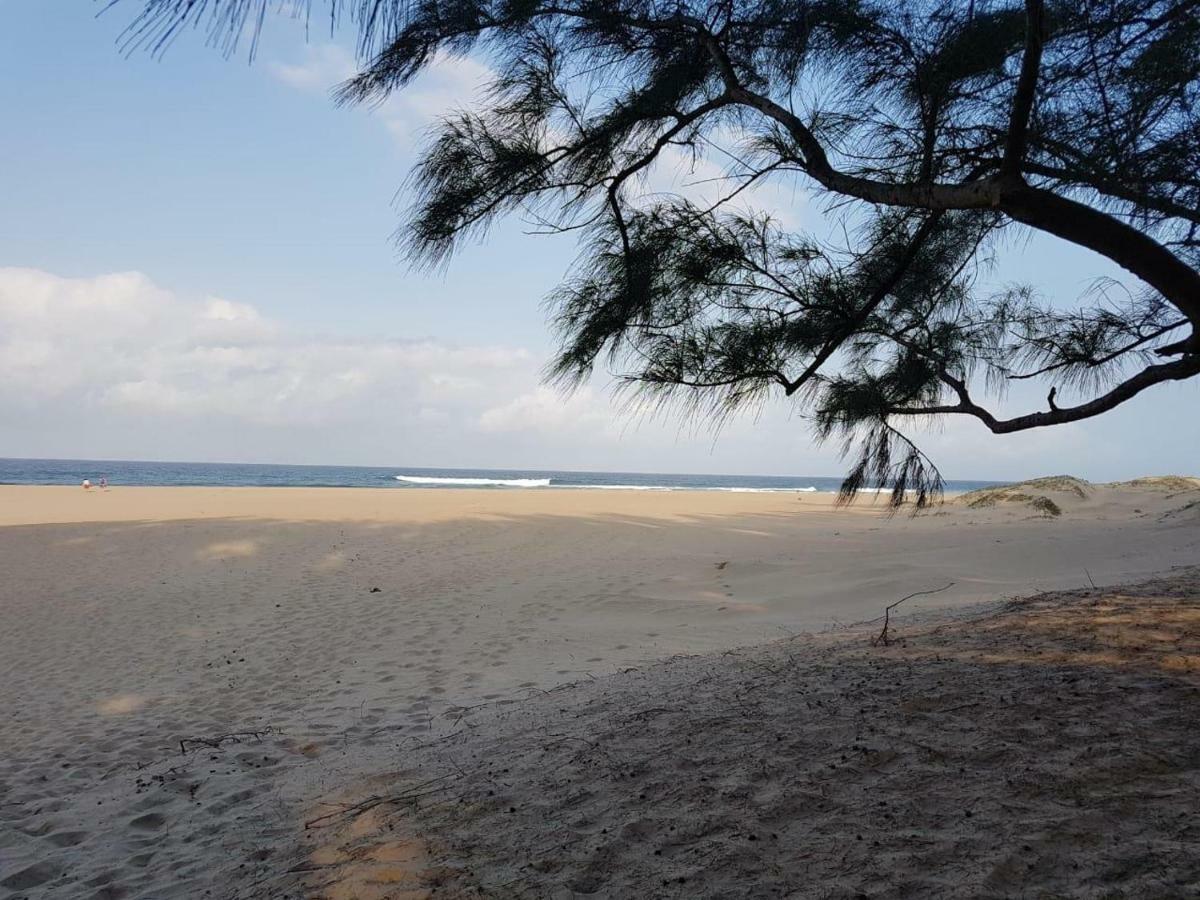 דירות Saint Lucia Estuary 4 The Bridge מראה חיצוני תמונה